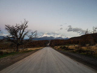 多肉生白色虫子要怎么办